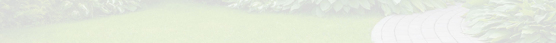 about pro step landscaping
