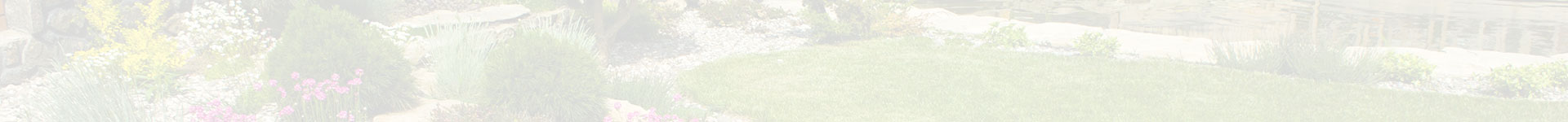 gallery pro step landscaping