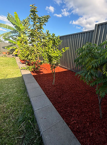 garden beds planting after services
