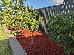 garden beds planting services