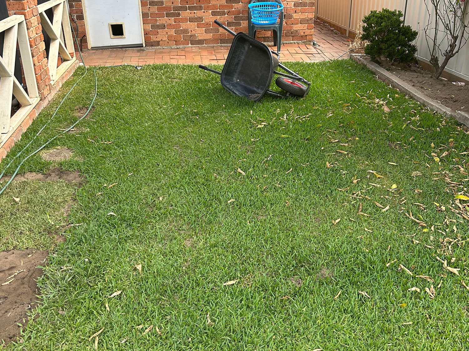 grass installation basketball court before