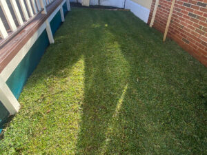grass installation landscaping sydney