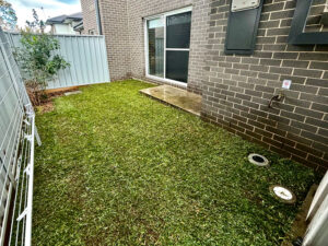 grass installation schofields