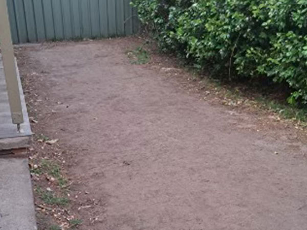 grass installation schofields before