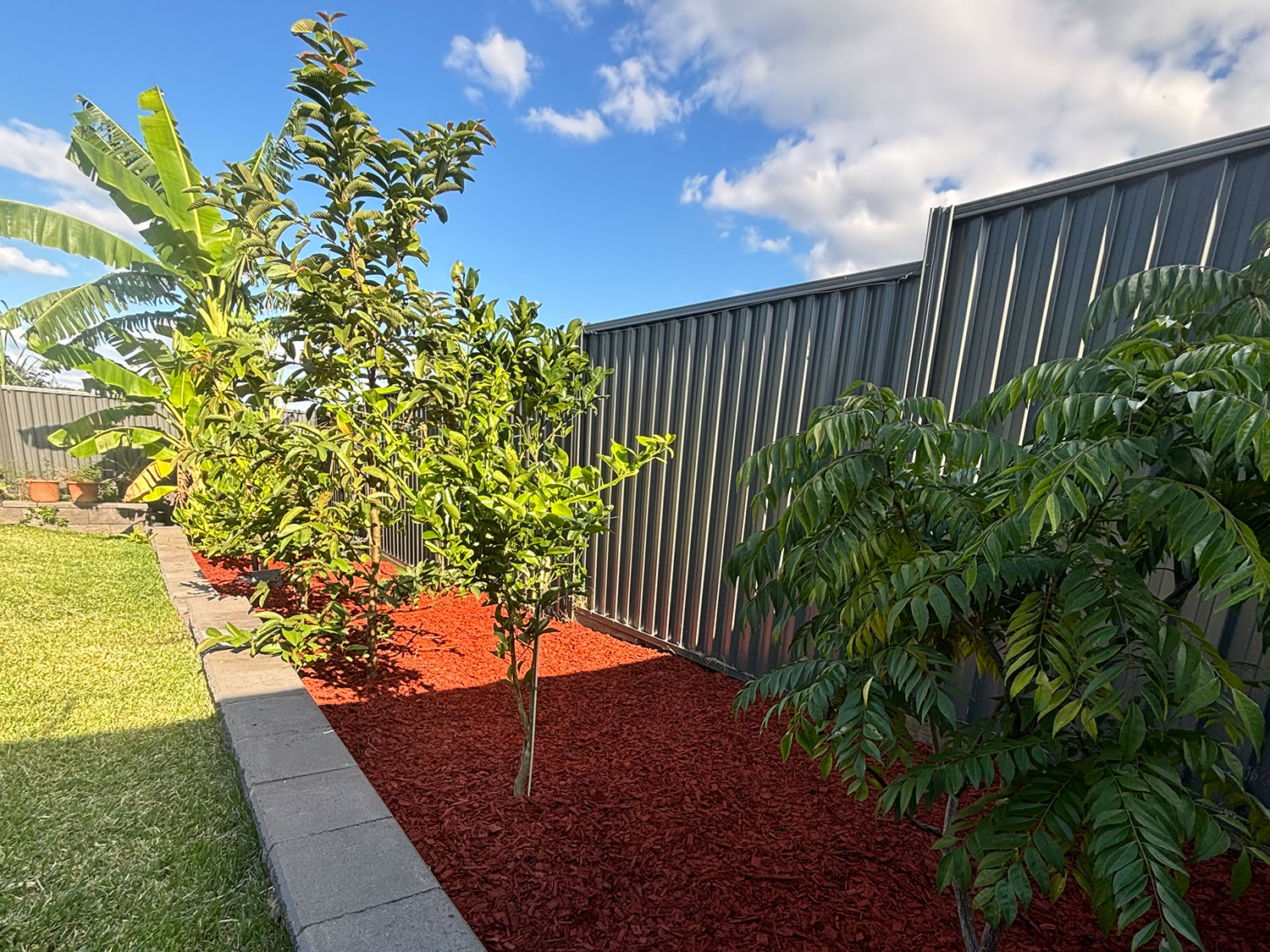 landscaping garden bed planting schofields