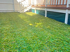 turf installation