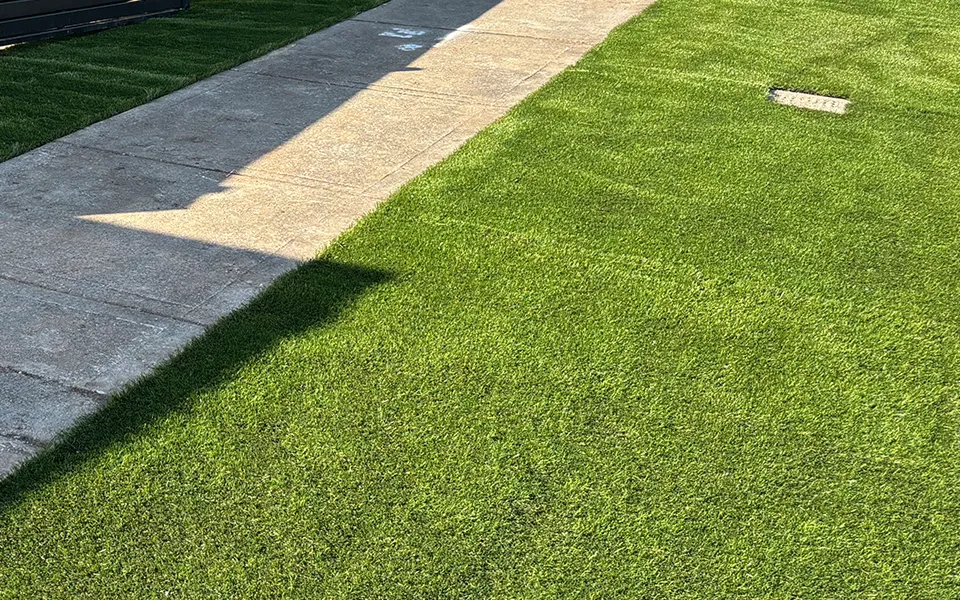 artificial grass installation outdoor sidewalk