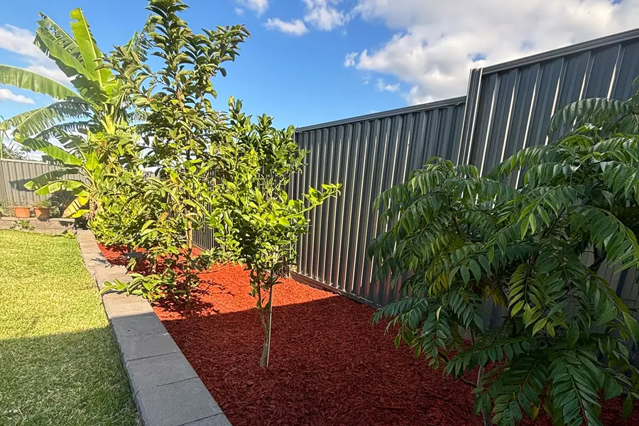 garden landscaping