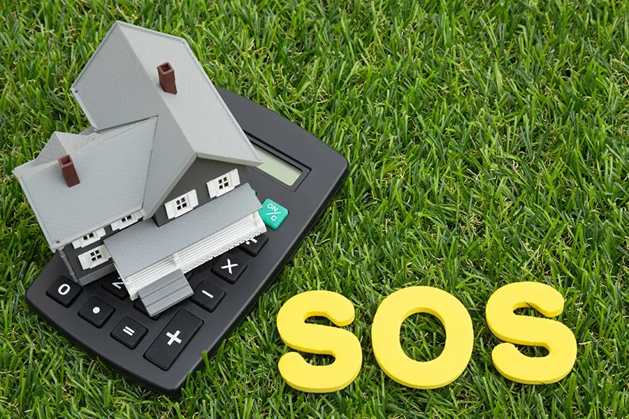 reliable artificial grass installer in Sydney