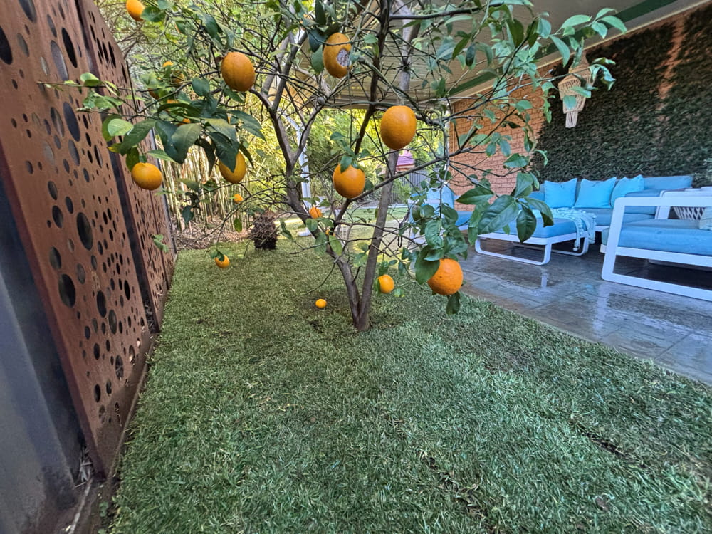 Buranda Crescent, St Johns Park