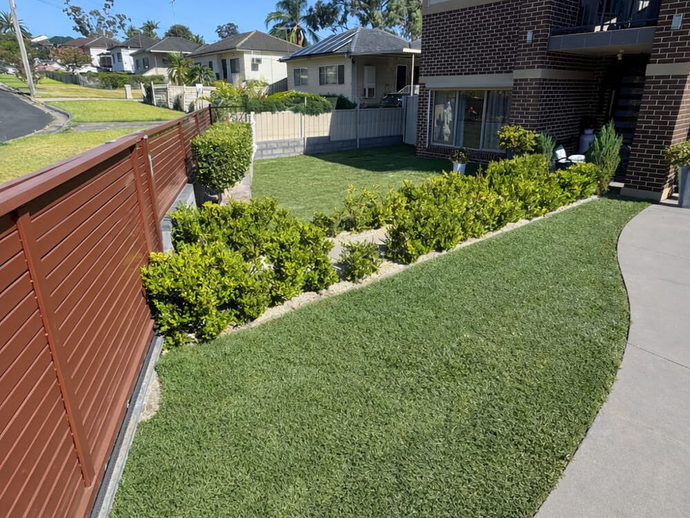 Natural Lawn Installation in Sydney and Surrounds